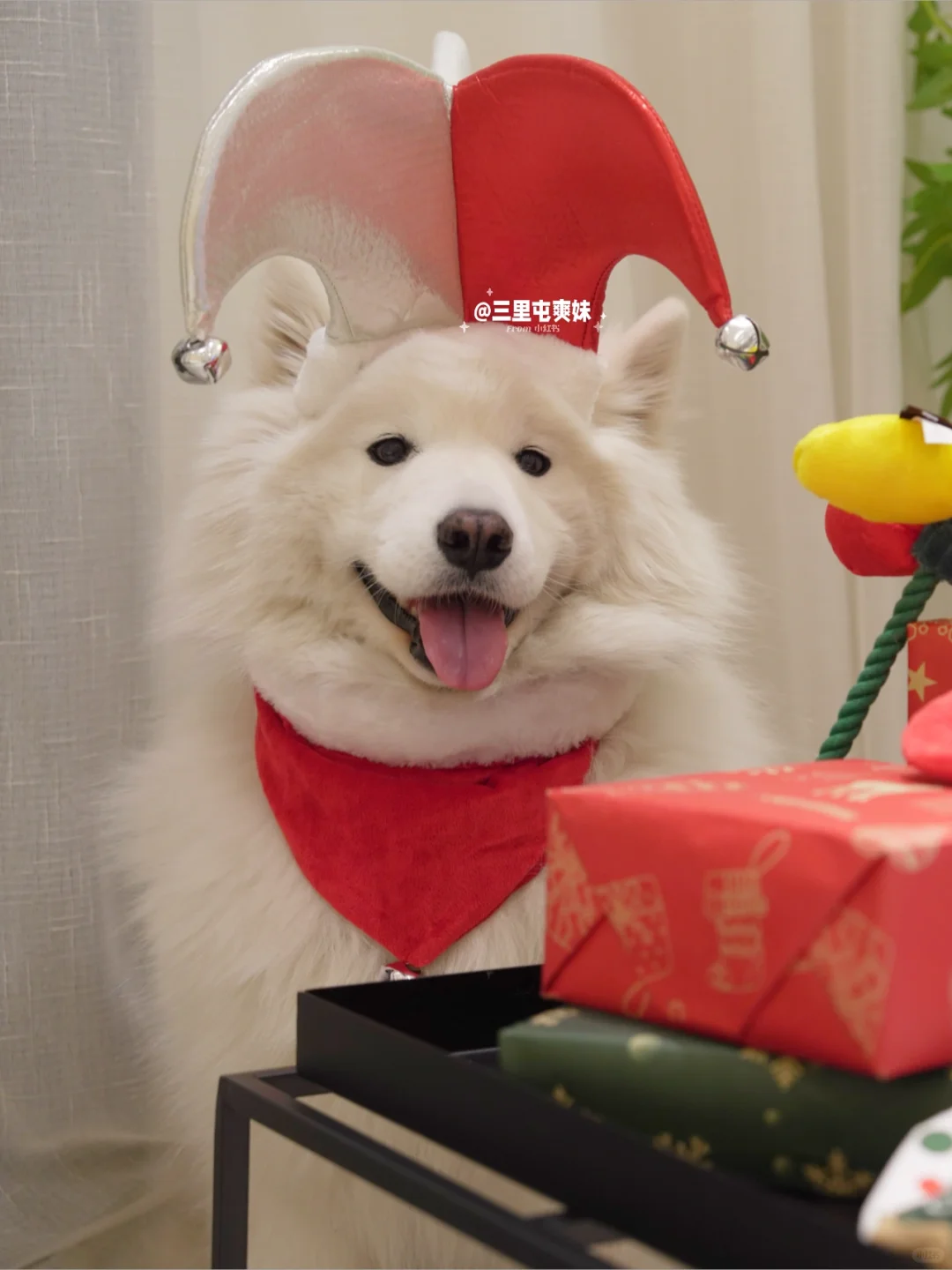 提前完成🎄礼物交换