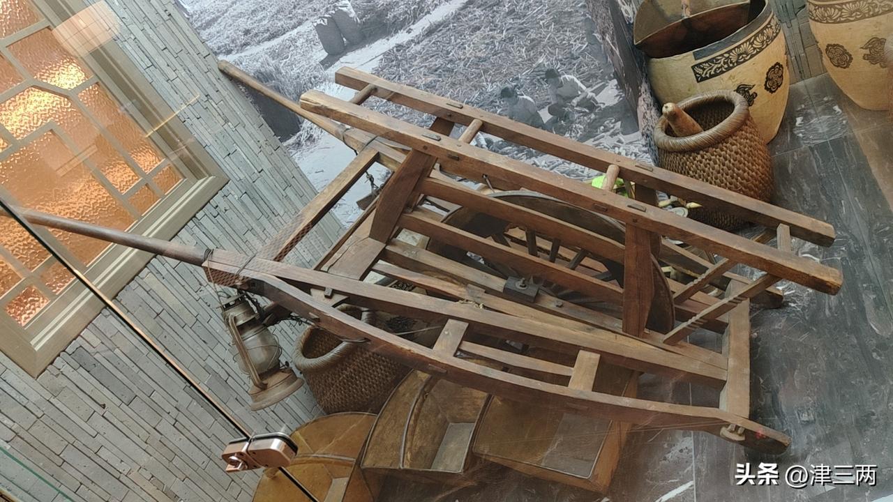 我曾经以为握住了蝉，就能握住整个夏天。
可后来，蝉却告诉我说，不爱，请别揪蝉。