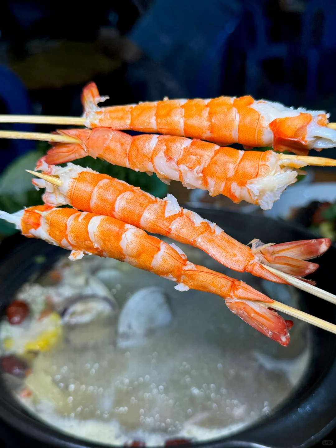 超鲜甜😍揭阳98r文昌鸡火锅🈶活虾和白贝🦐