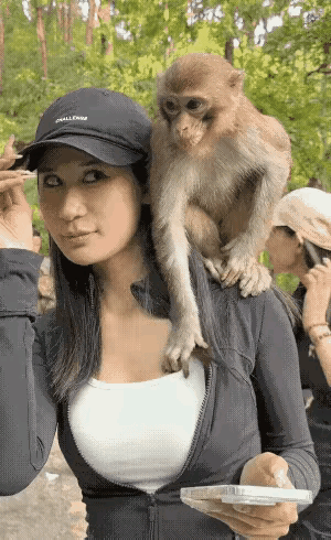 猴哥的人生，你羡慕不来的