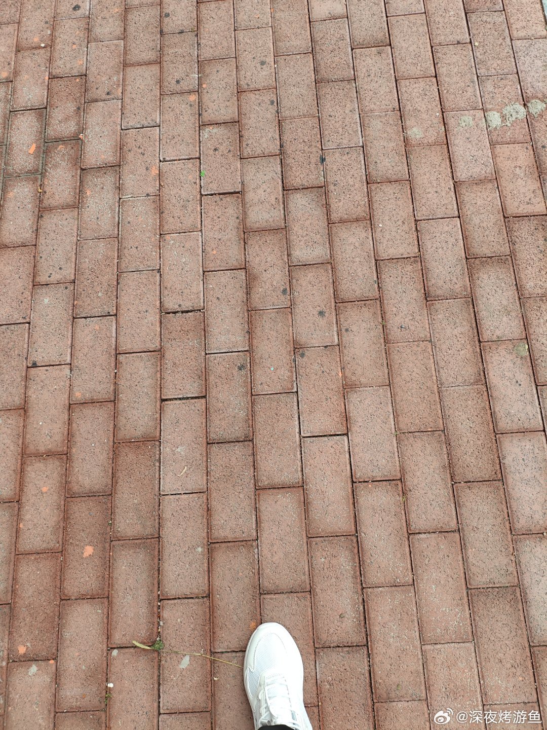 还是春天和秋天的天气比较好。夏天温度上来了。再加上经常下雨，外面都是热的 