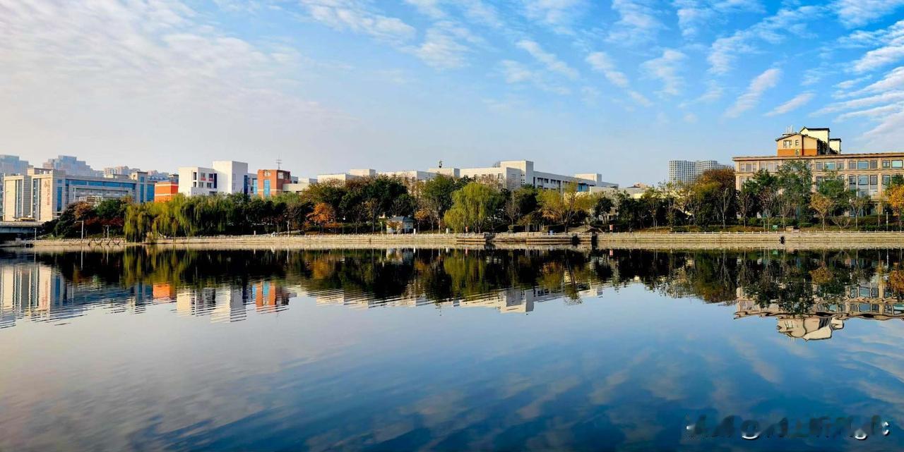 今天双十一，久违的冬日暖阳，一下子把郑州拉回温暖如春的季节。
金水河畔，天高云舞