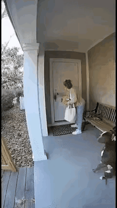 狗子今天能上桌[赞]