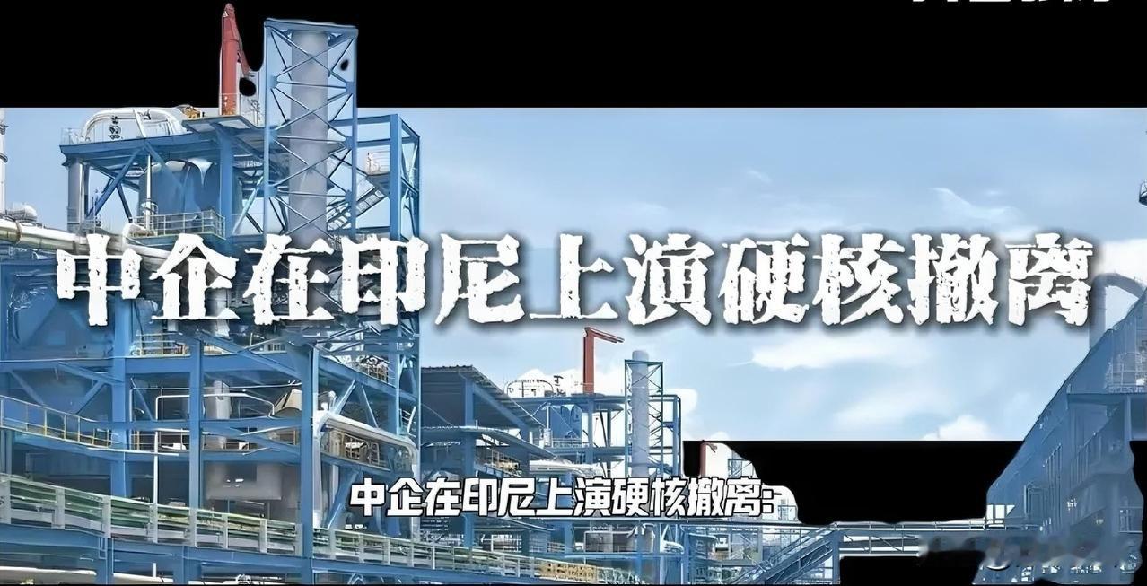 中国企业从印尼大举撤离，损失肯定极其惨重。
应该学美国弄个评级机构，把中国以外所