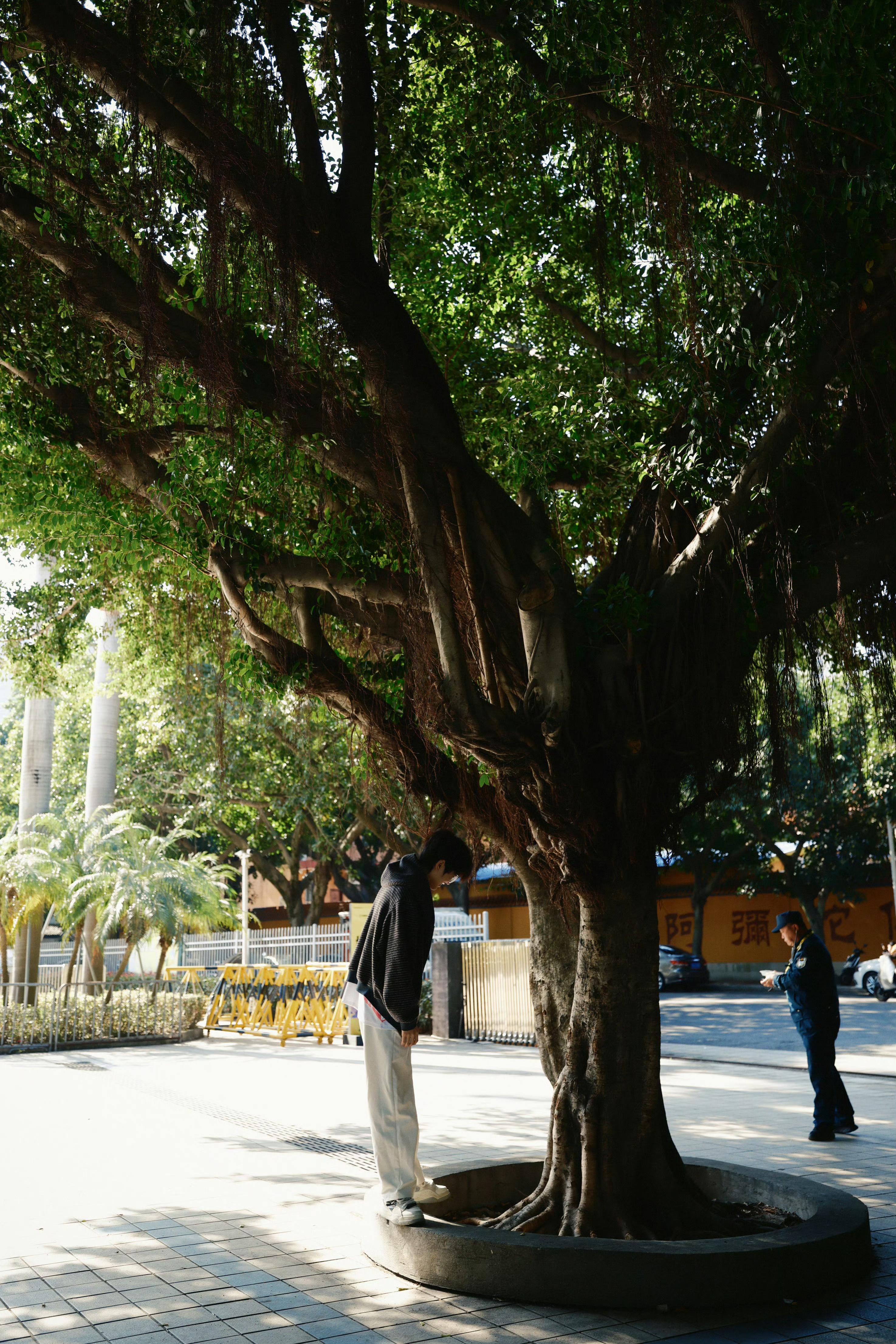 BLG晒选手日常照：特别鲜亮的榕城与一只小k