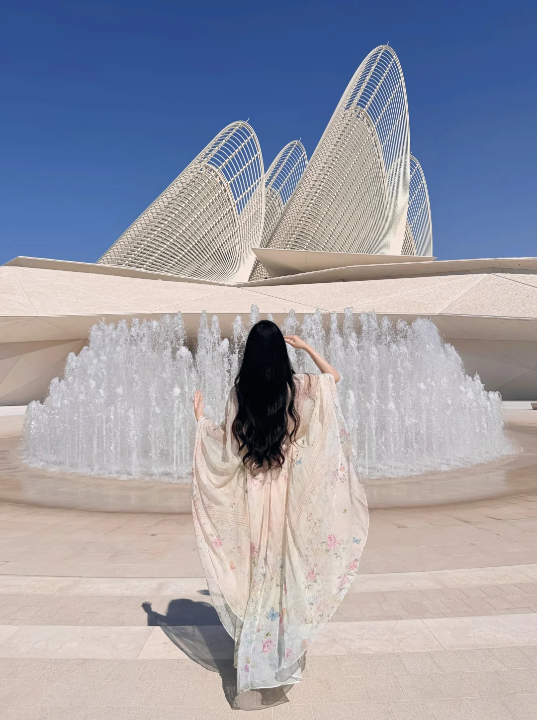 阿布扎比⛵️zayed national musuem