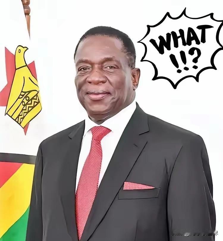 前脚巴拿马不顾中方反对，强行接管了巴拿马港口，后脚津巴布韦突然宣布暂停锂矿出口。