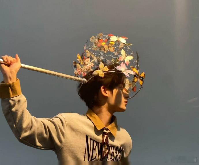 丁程鑫扛捕蝶网  丁程鑫双手比耶拍立得  家人们，丁程鑫扛捕蝶网的样子真的太有少