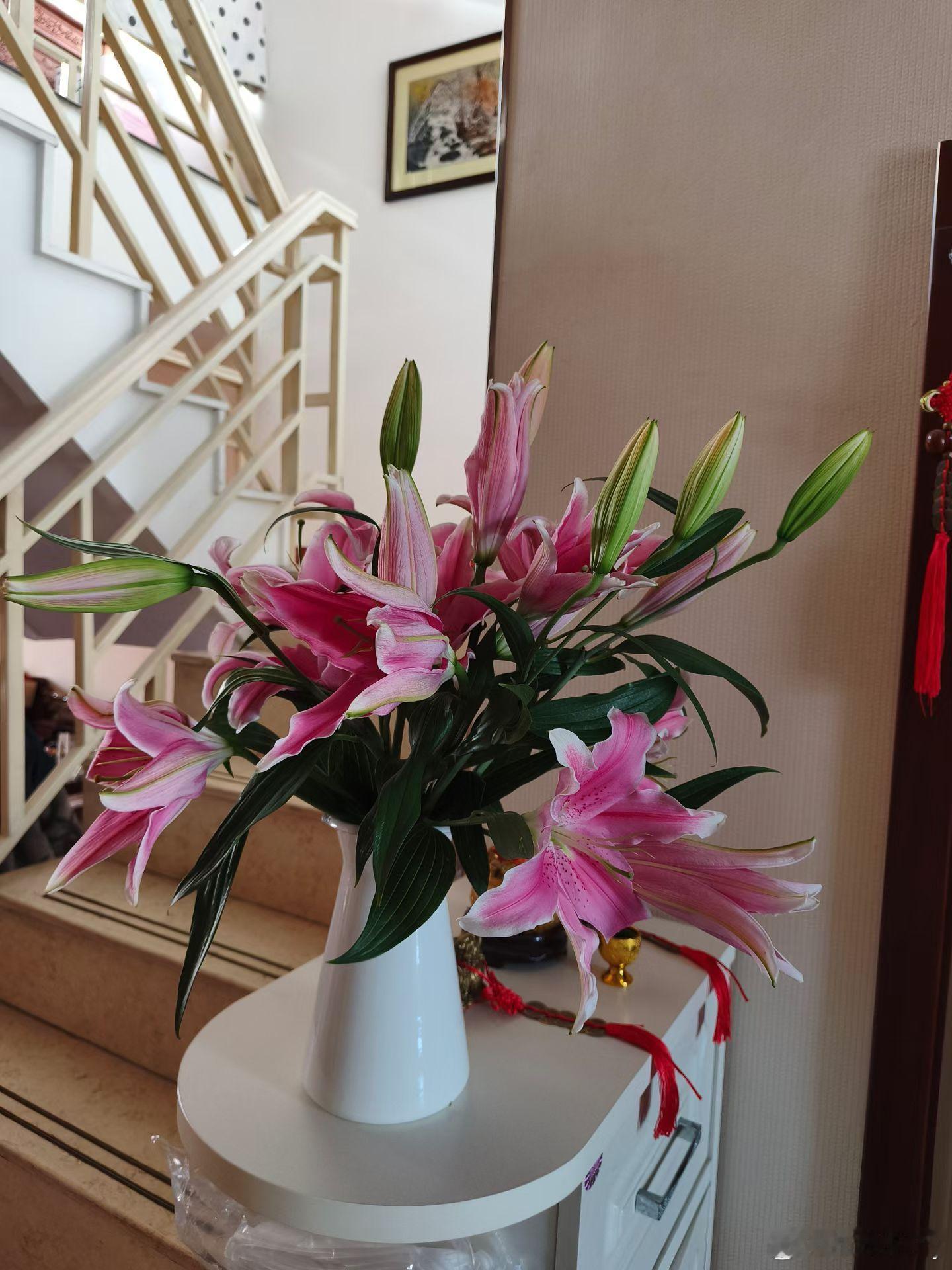 大年初二拜年了！新的一年祝愿大家身体健康！快乐平安！ 