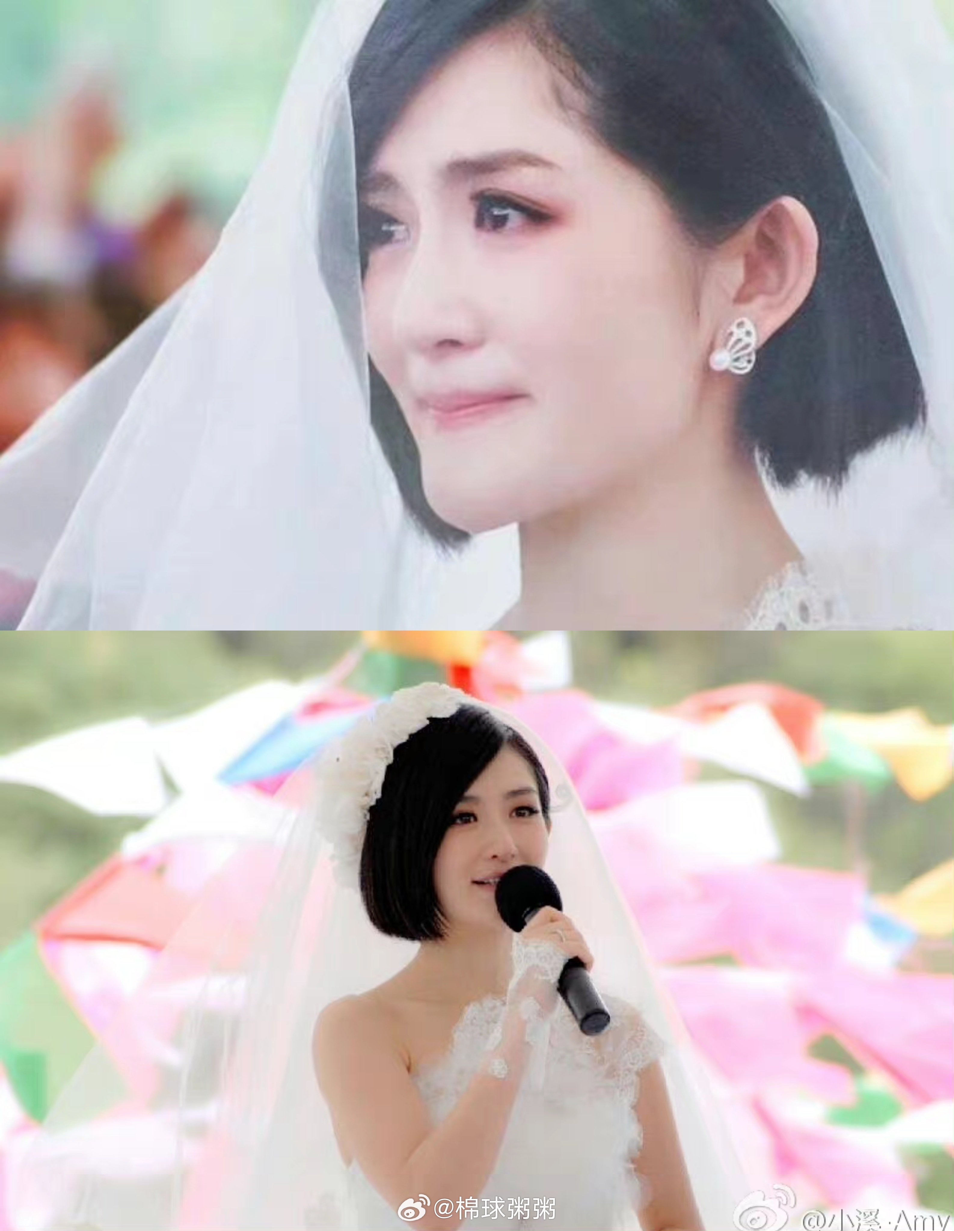 321所有人开始吟唱：我家娜娜 我家兔兔 我家公主 我家明珠 我家女儿 我家小棉