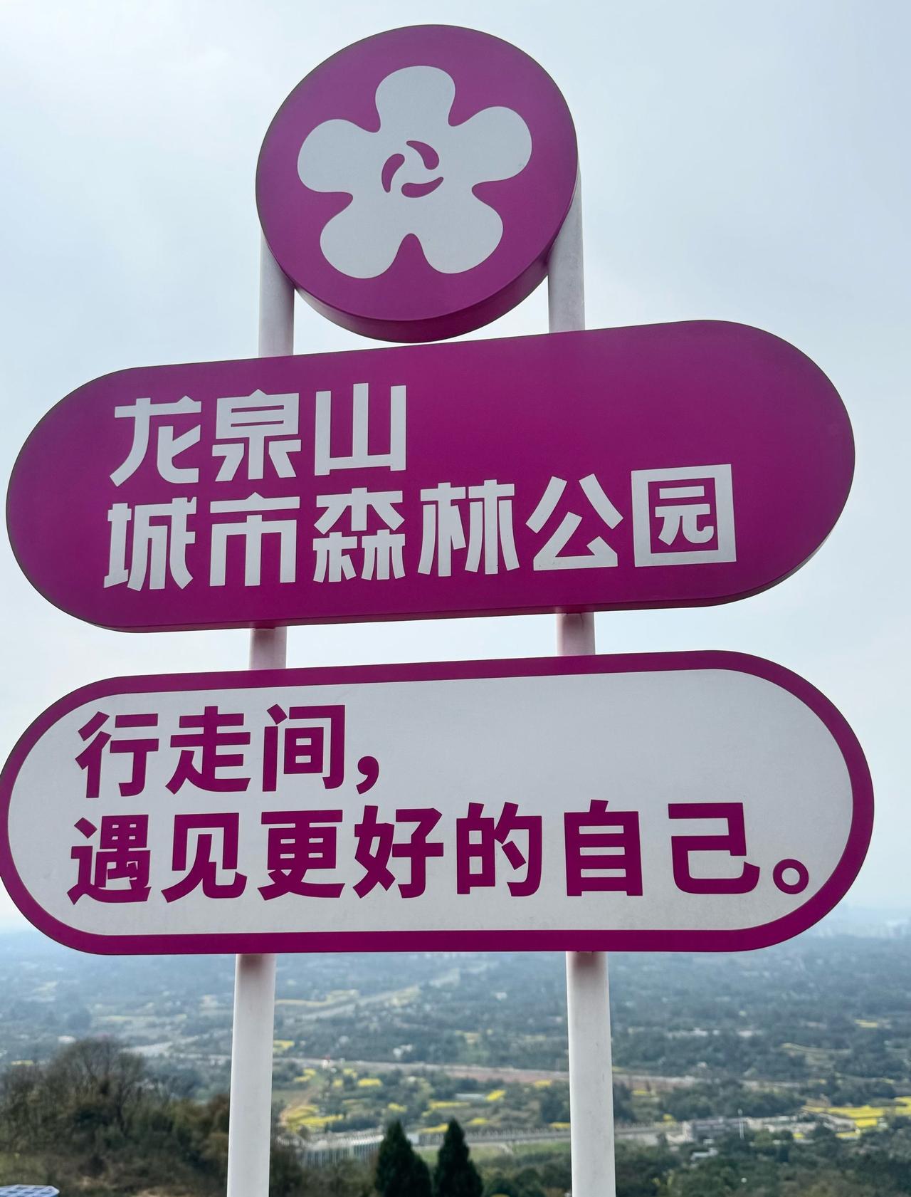 在山顶送你一个爱心~
📍成都 丹景山狮子宝观景台
0元玩转这座城一条非常浪漫的