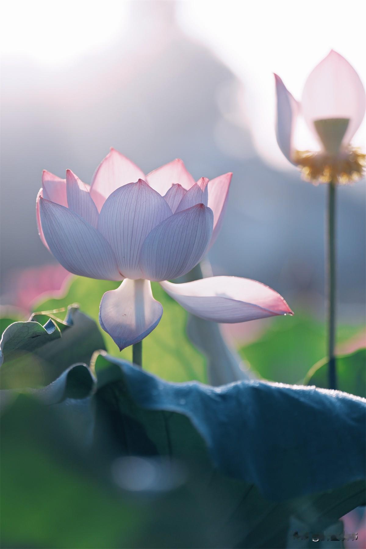 一定要告诉孩子，“五戒”立人生
 
1、戒乱懒惰
告诉他：安逸是堕落的开始，勤奋