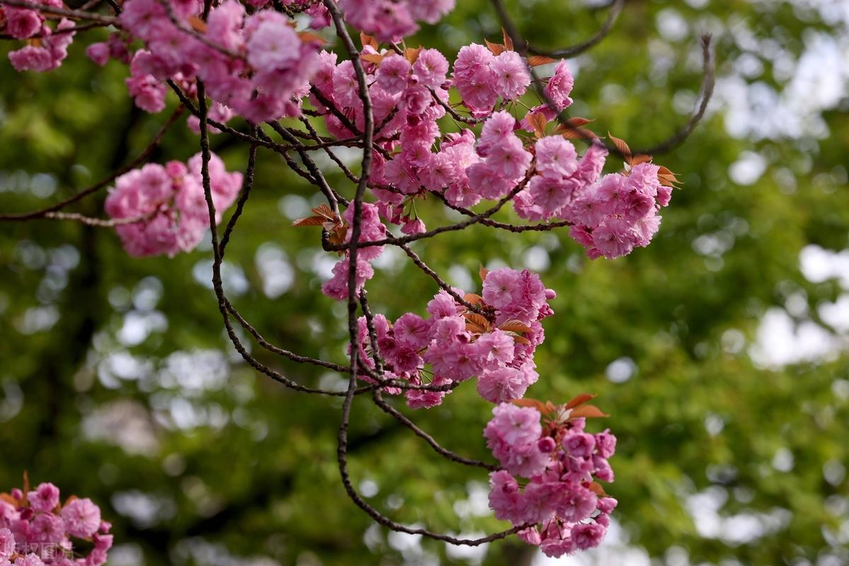 因为看轻，所以快乐。因为看淡，所以幸福。我们都是天地的过客，很多事，我们都做不了