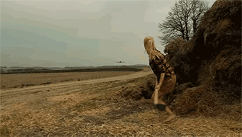 飞机也没想象的那么安全啊！😱