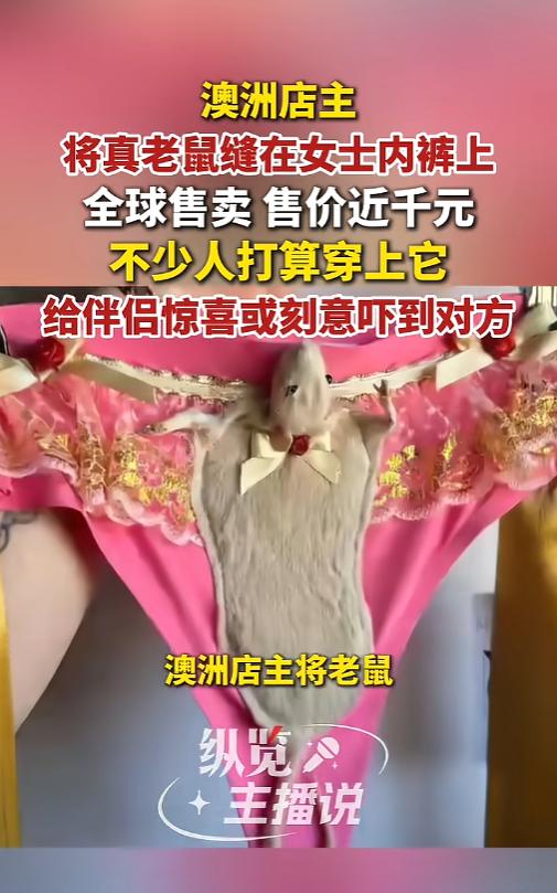 “活久见！”6月2日报道，澳大利亚，一位网红标本师将老鼠标本缝制在了女士内裤上，