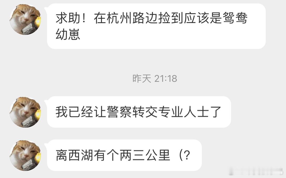 #鸟粉投稿# 路边捡到的【鸳鸯】宝宝交给警察蜀黍了小鸭子真的好可爱啊 ​​​