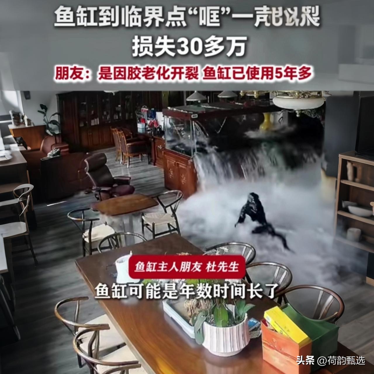 4吨鱼缸爆缸！30万名贵鱼“越狱”失败，主人含泪做成鱼头汤

谁能想到，花30万