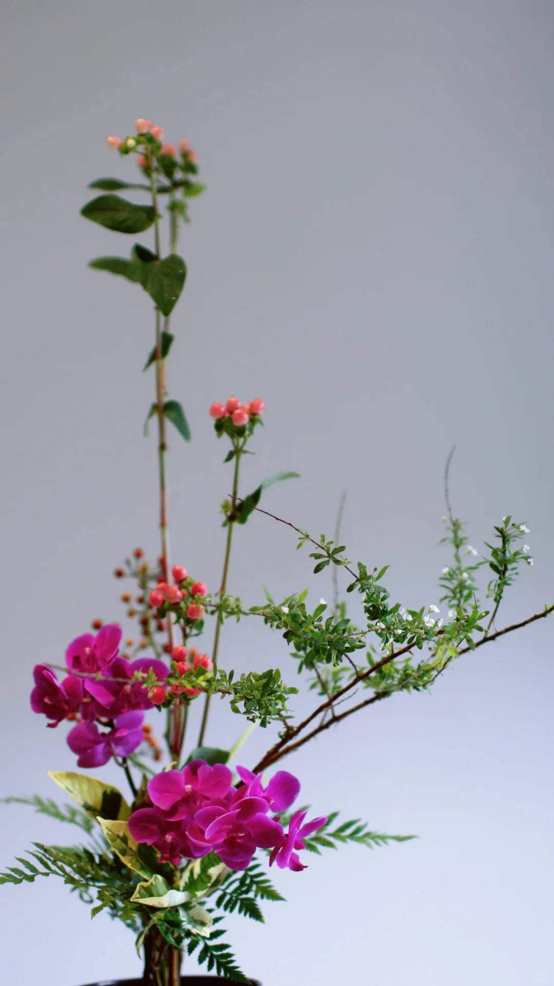 静美之秋 深情以待