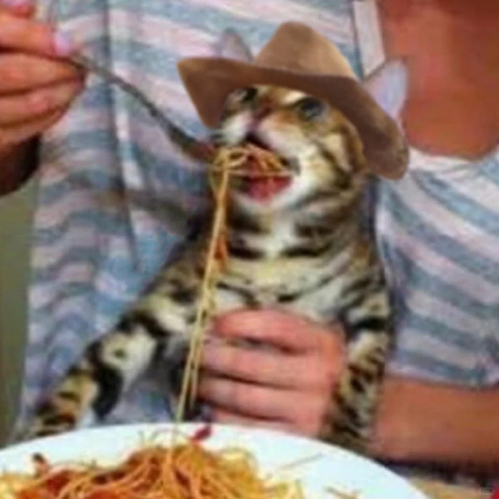 🐾搞怪头像｜牛仔猫猫头🤠