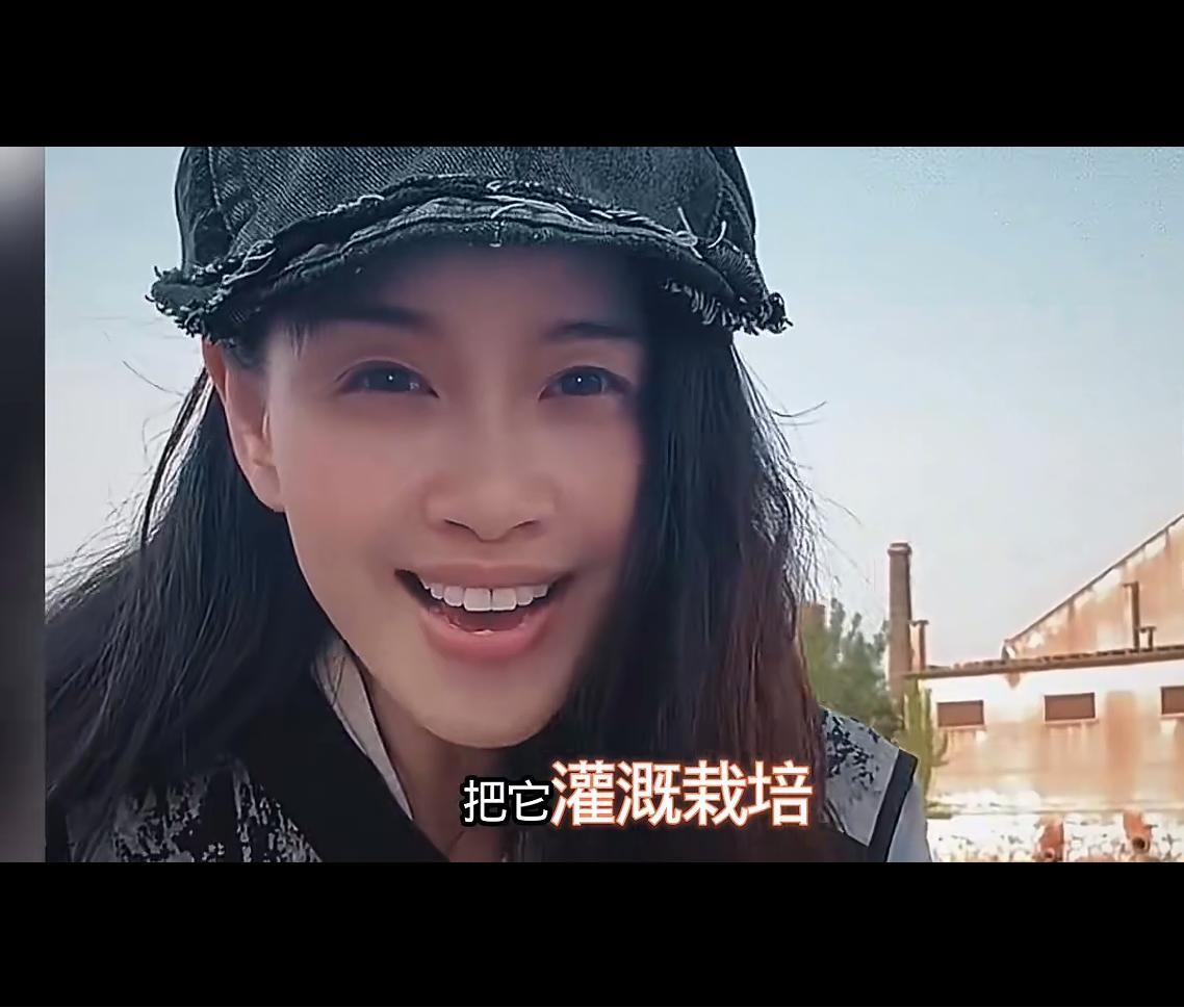 是岁月里悄然绽放的一抹温柔，藏在心瓣最柔软的地方。

它在晨露未晞的清晨，把心事