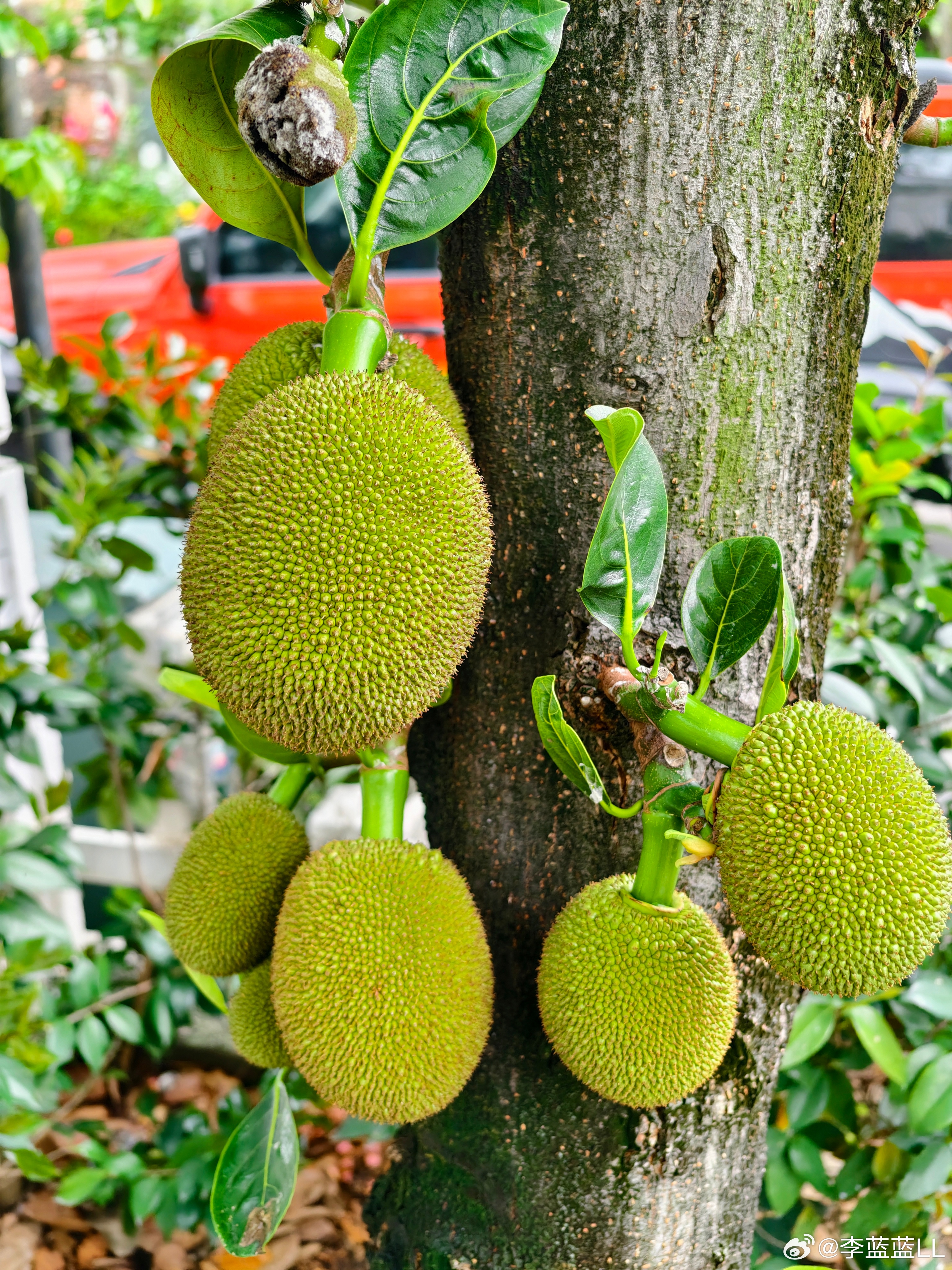 知道这个是啥吗？？