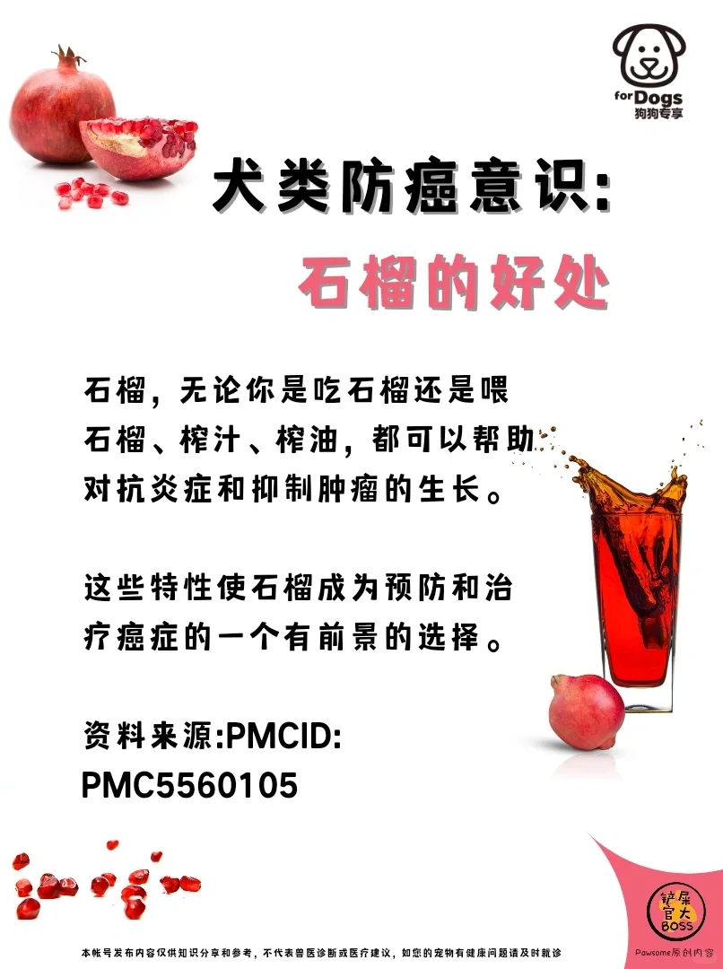 犬类防癌意识: 石榴的好处