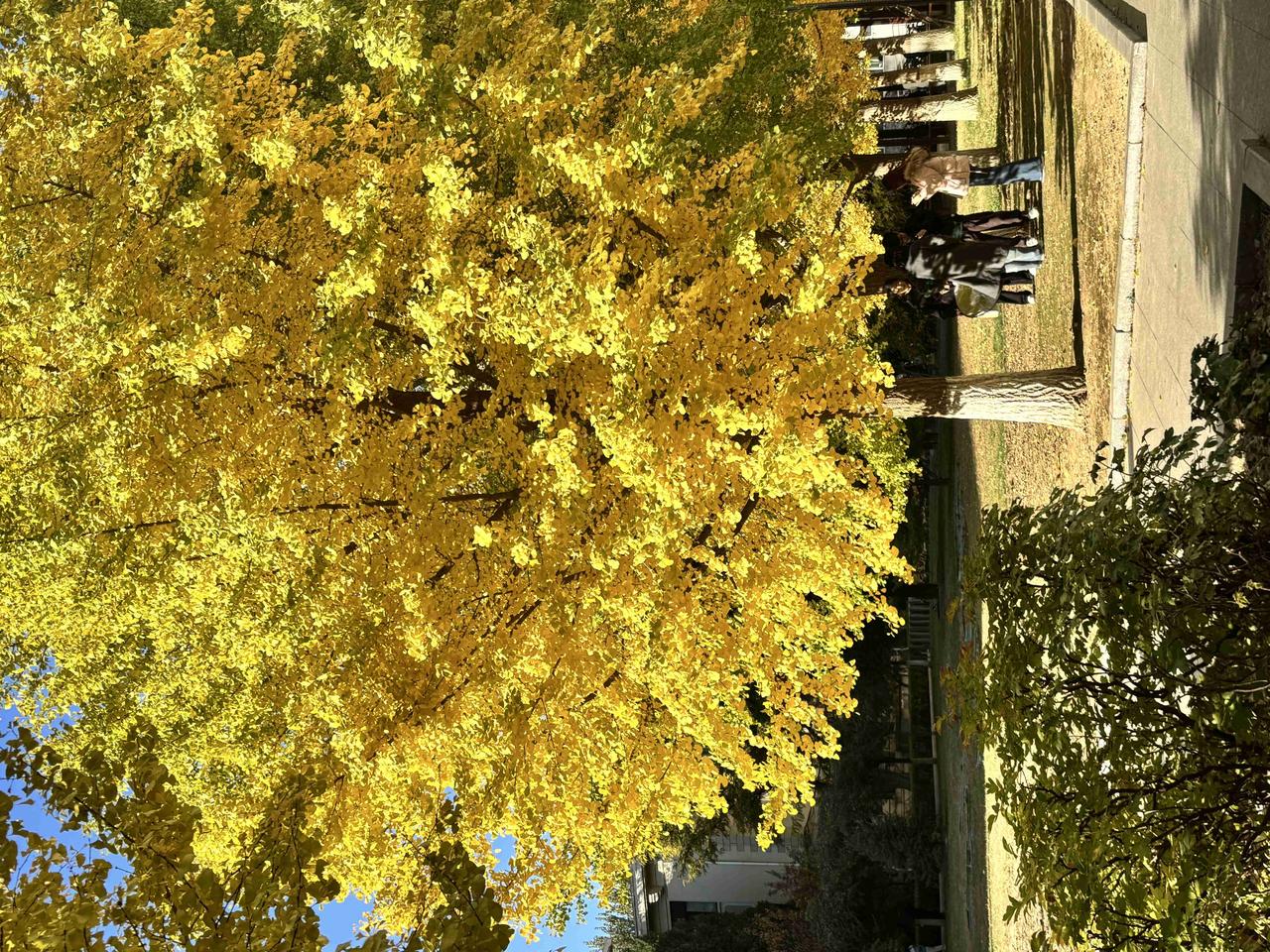 我的今日状态：🏃‍➡️运动
我这里的天气：☁️阴天