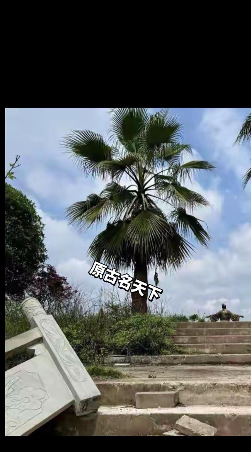 日常生活 自然风景区 纪录美好生活 蓝天白云蓝天