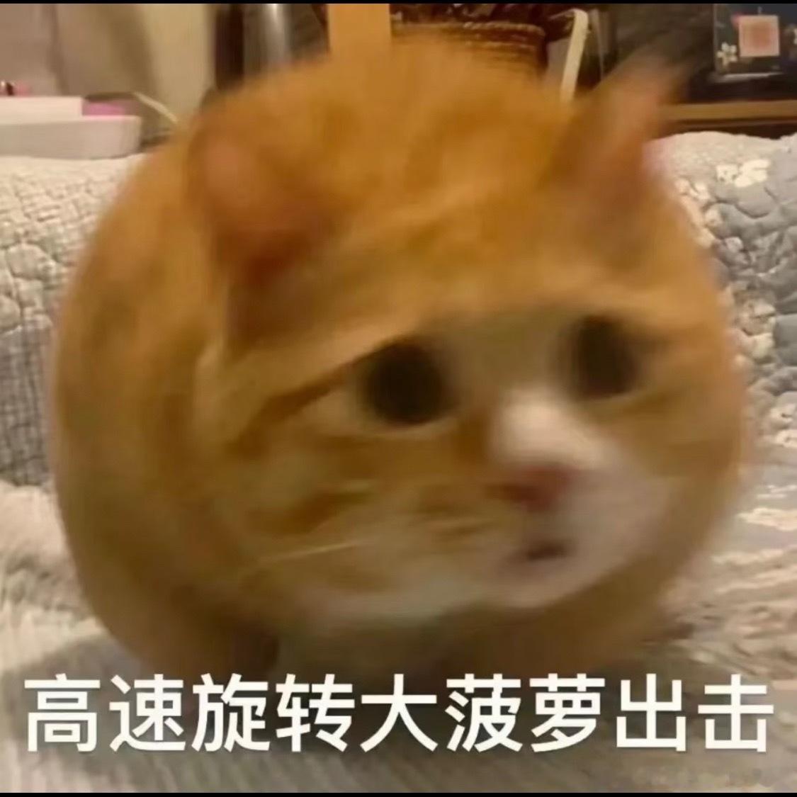 杨洋超张凌赫杨洋和张凌赫一个咖位了？？超牛牛能得到什么？