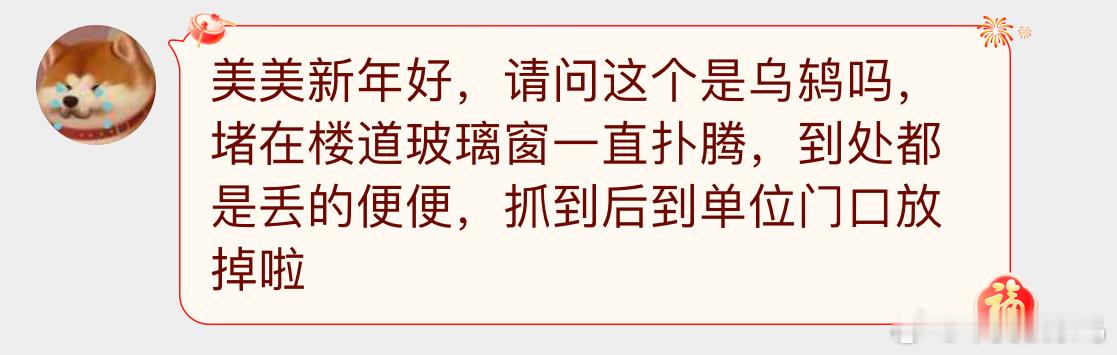 鸟粉投稿  惊鸫伤城环节误飞楼道里的【乌鸫】😈感谢你救它鸟[开学季] 人好 鸟