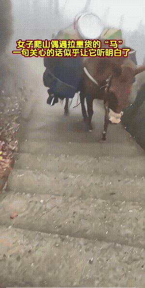 女子突如其来的关心，让它一下子崩不住了，眼角里流出了泪珠。
说实话，它累，它也懂