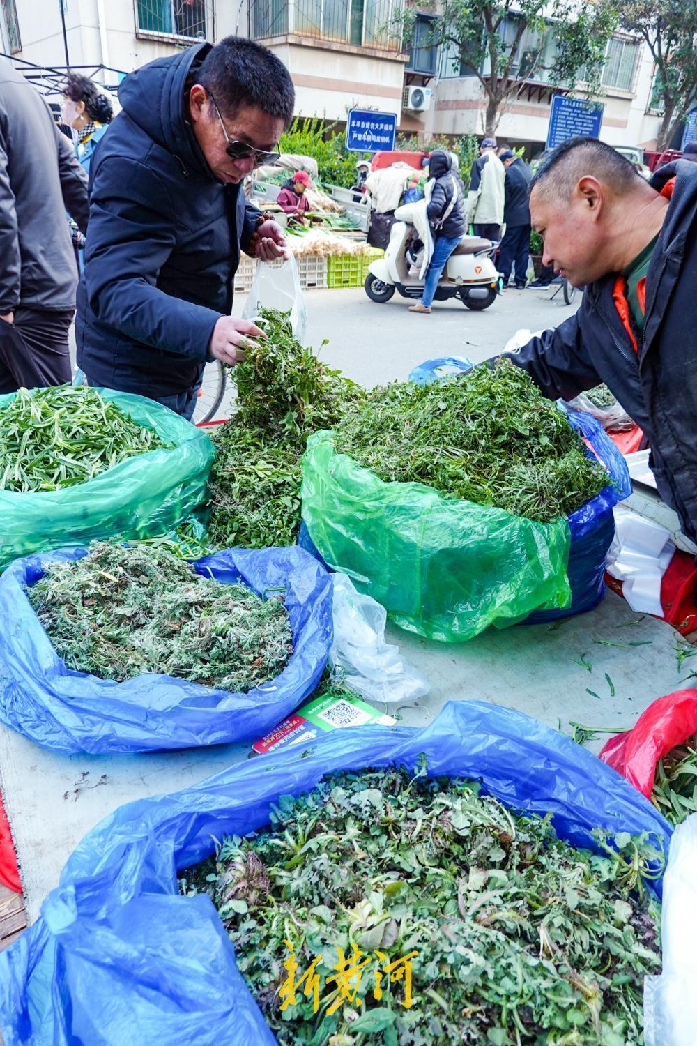 阳春三月，草长莺飞，正是吃野菜的好时节。3月13日，在济南师范路附近的一处集市上