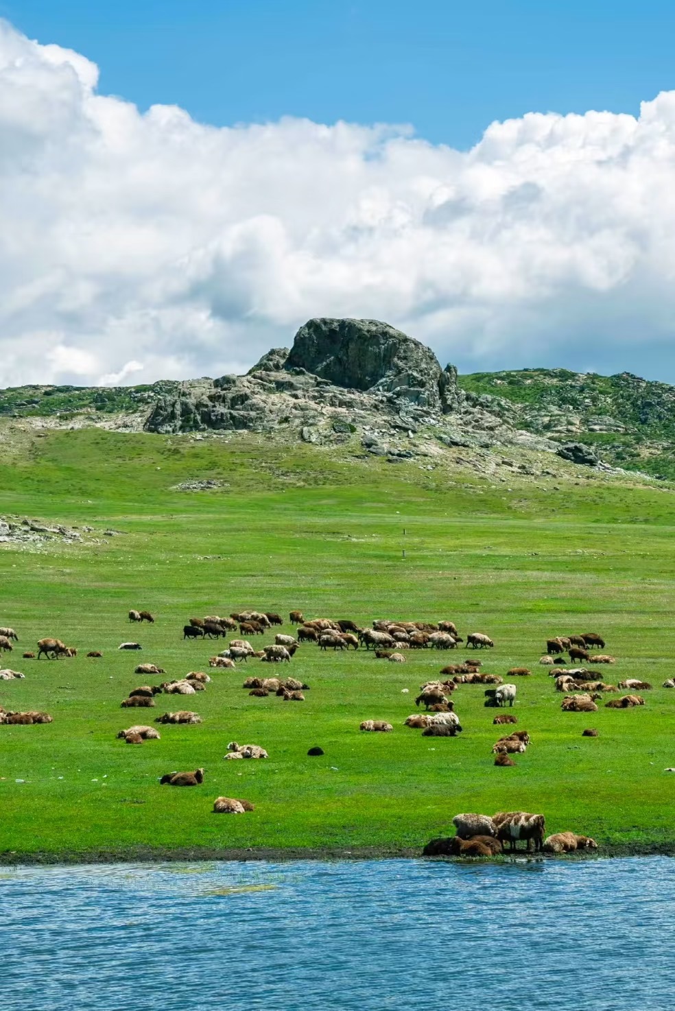 周末讨论过，本周纳指触及年线可以考虑左侧开启定投。仓位自己安排，场外很多限购了买