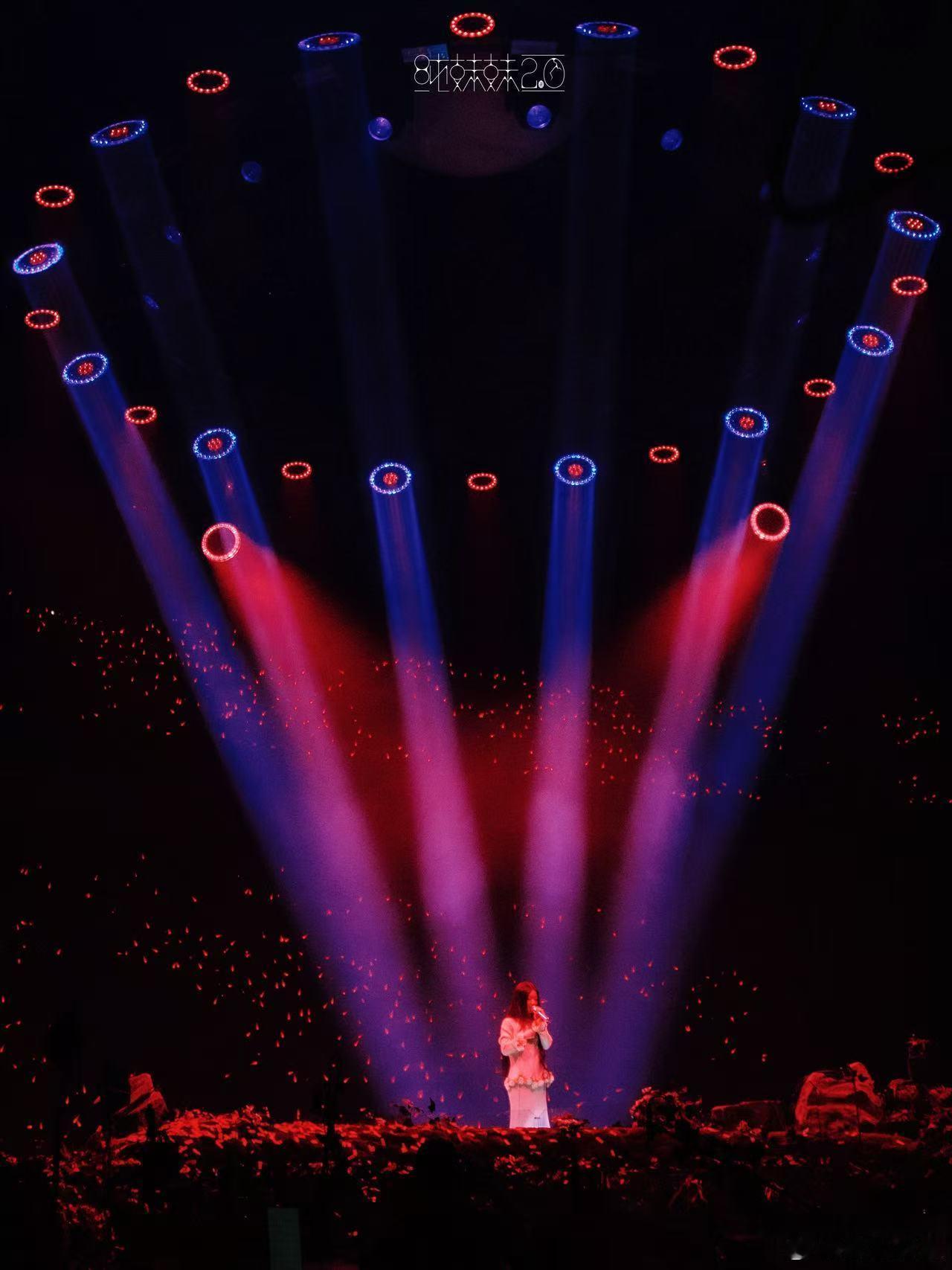 单依纯明媚的开着小花单依纯蛋岛盛开的小黄花 蛋岛舞台上的单依纯也太美好了，一身嫩