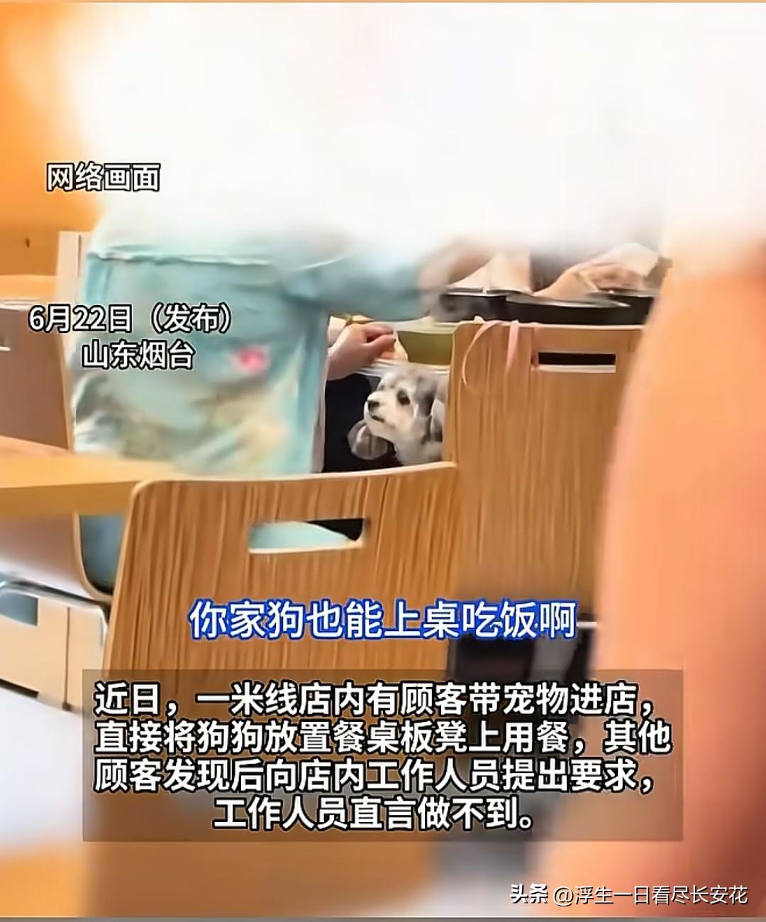 狗上桌，这次轮到山东烟台的阿姨婆米线了。有顾客投诉，店员不在乎，也敷衍了事：“做