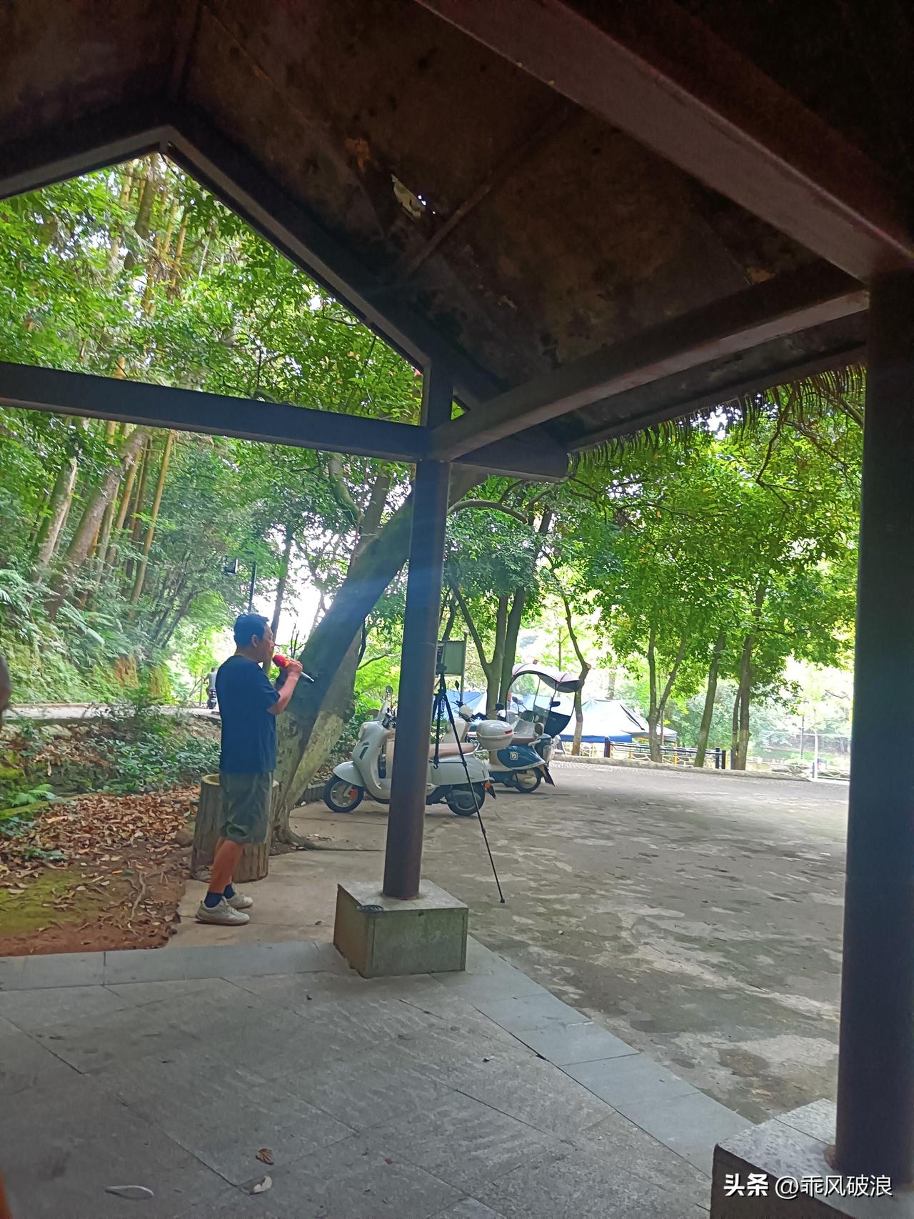 8月9号，天气凉爽。到山简的停子下唱歌，四面是绿树成荫，唱出来的歌回声嘹亮。
