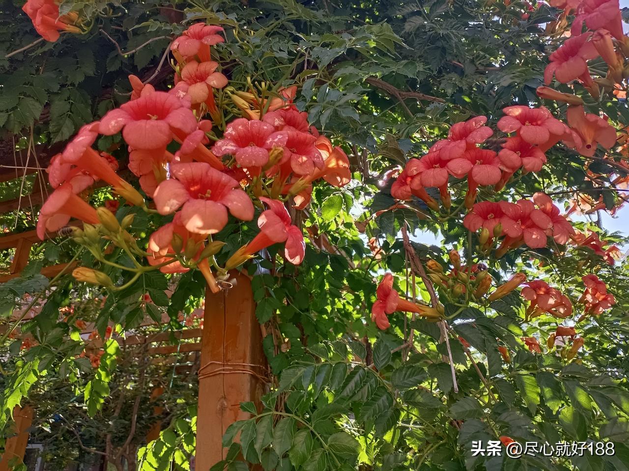 今天下雨了，以前每当下雨天，妈妈就胳膊和腿比平时疼的厉害，闹腾就比平时多。

由