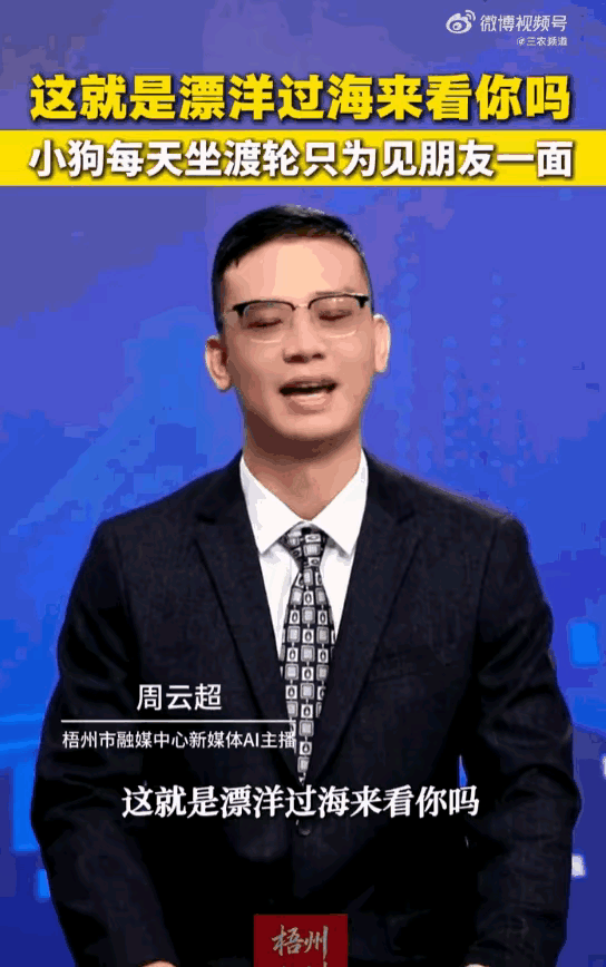 天下之大无奇不有！湖北荆州，一只小黑狗，为了能天天和长江对岸的“好哥们”相聚，竟