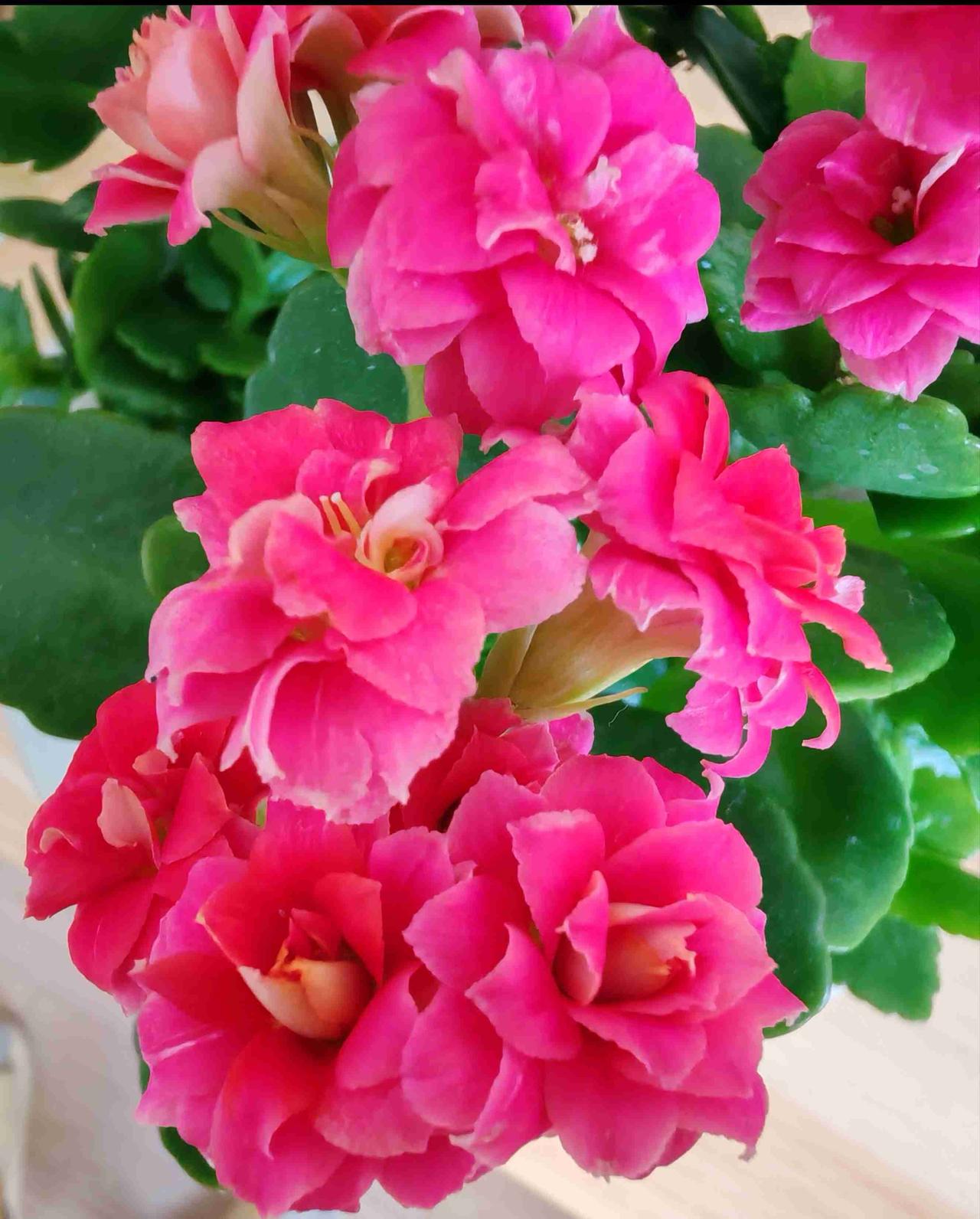 我的今日状态：😁轻松愉快
我这里的天气：☀️晴天，气温：低温零下1℃，高温零上