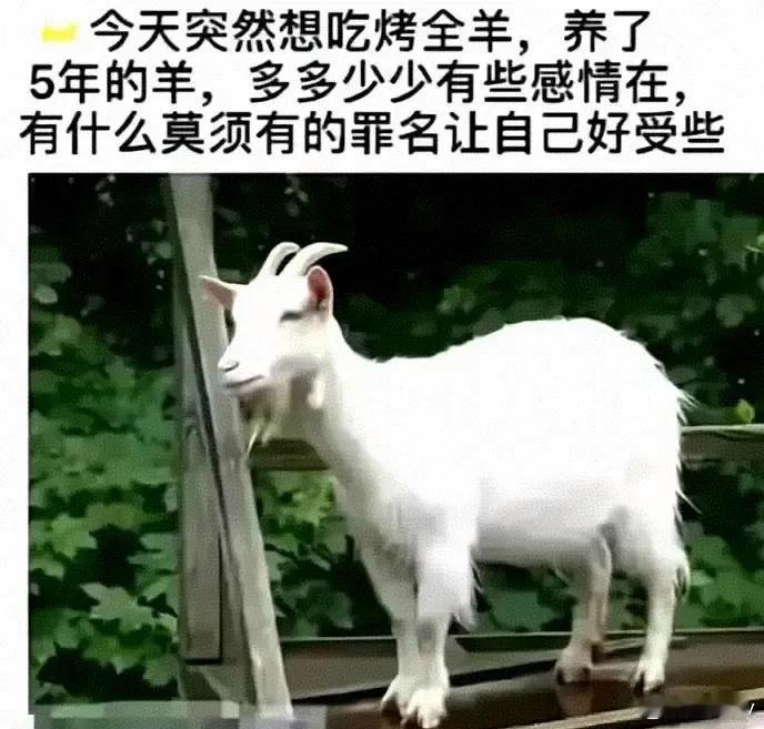 欲加之罪何患无辞[吃瓜][吃瓜][吃瓜] 