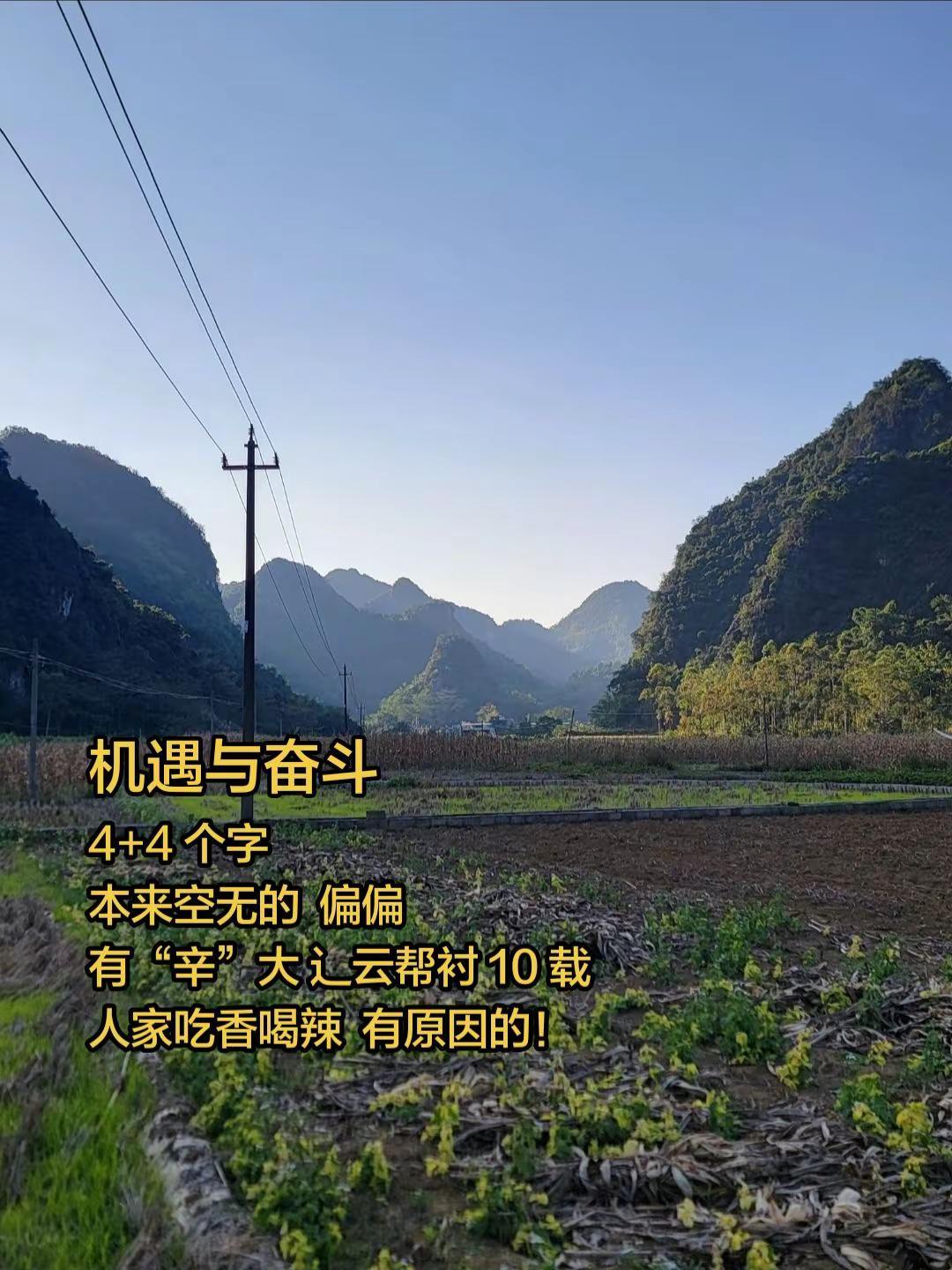 奋斗重要 还是机遇重要？