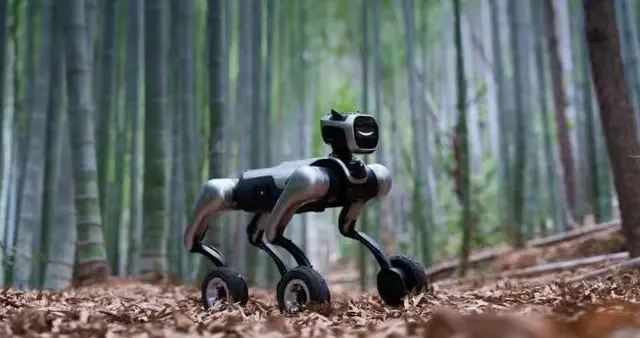 科技與文化雙向奔赴！魔法原子以春晚為窗彰顯中國智造力量