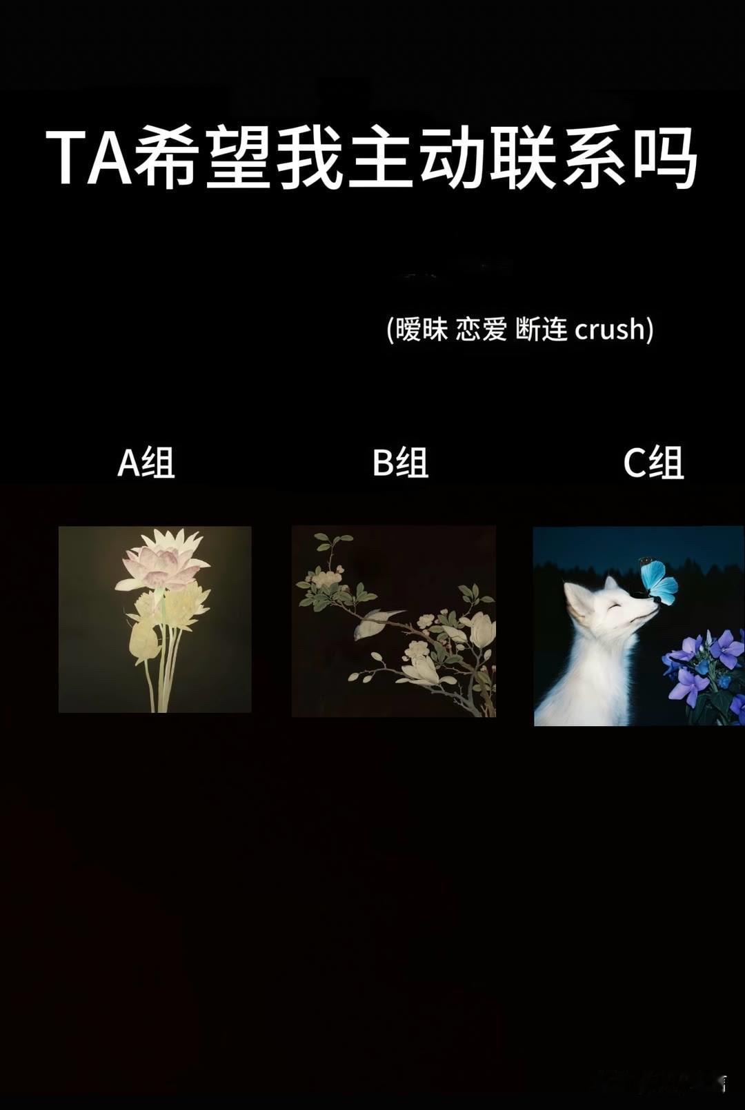 (暧昧恋爱断连crush)