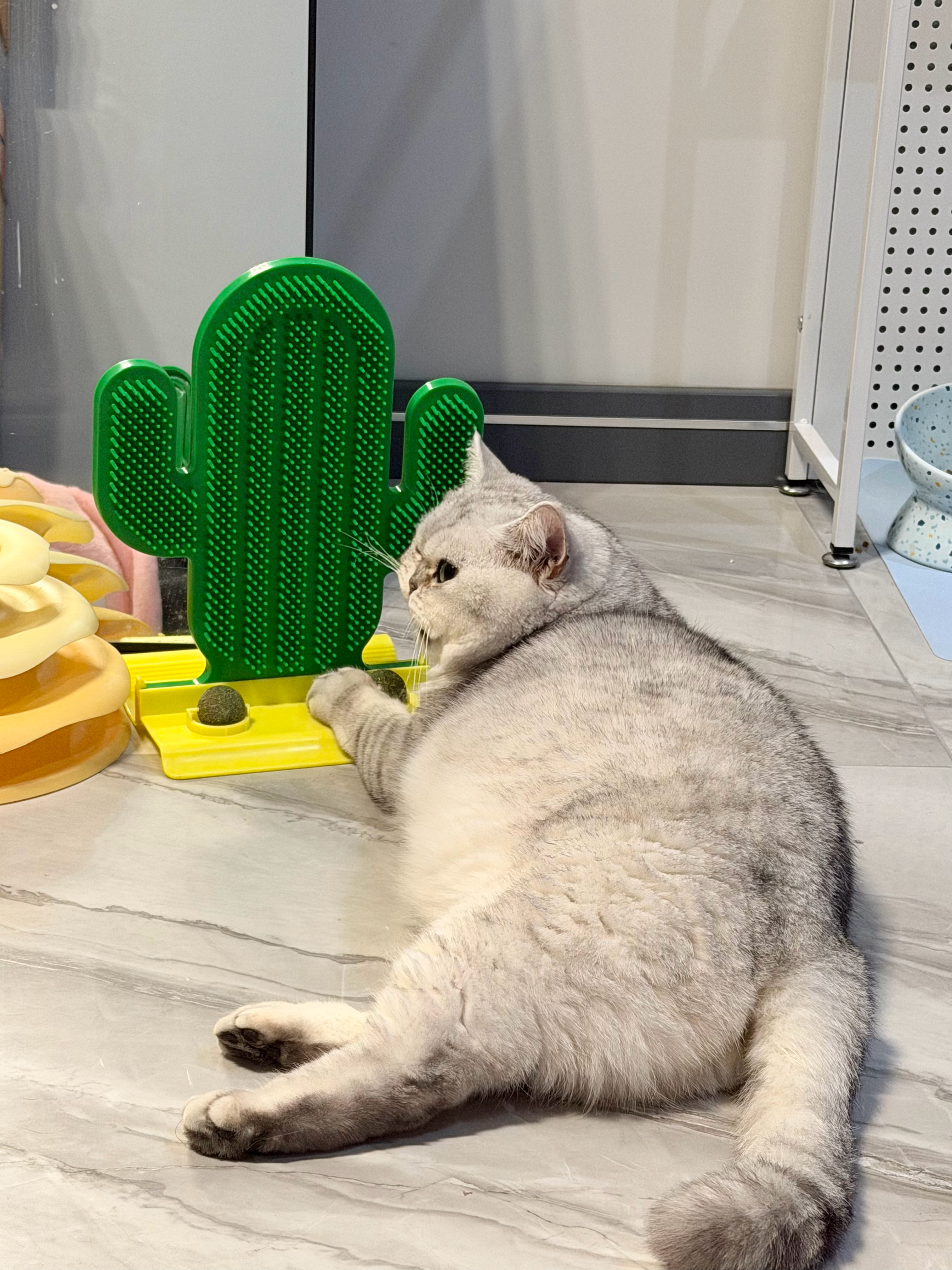 这个猫草球里是不是有猪饲料。怎么吃减肥猫粮这么久了，一斤都没掉…… 