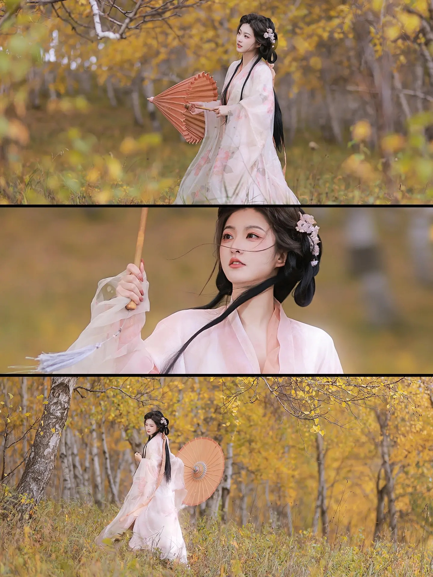 潇潇梧叶送寒声。