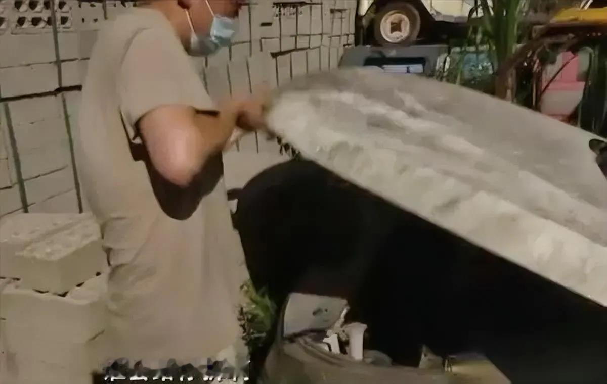 停路边两年，车没了？

赵先生的宝骏310停杭州路边两年，再去开时路变样车也没了