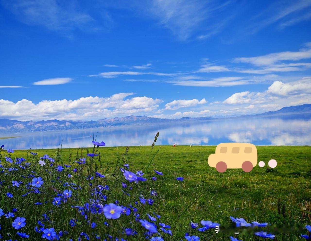 ，什么花都行