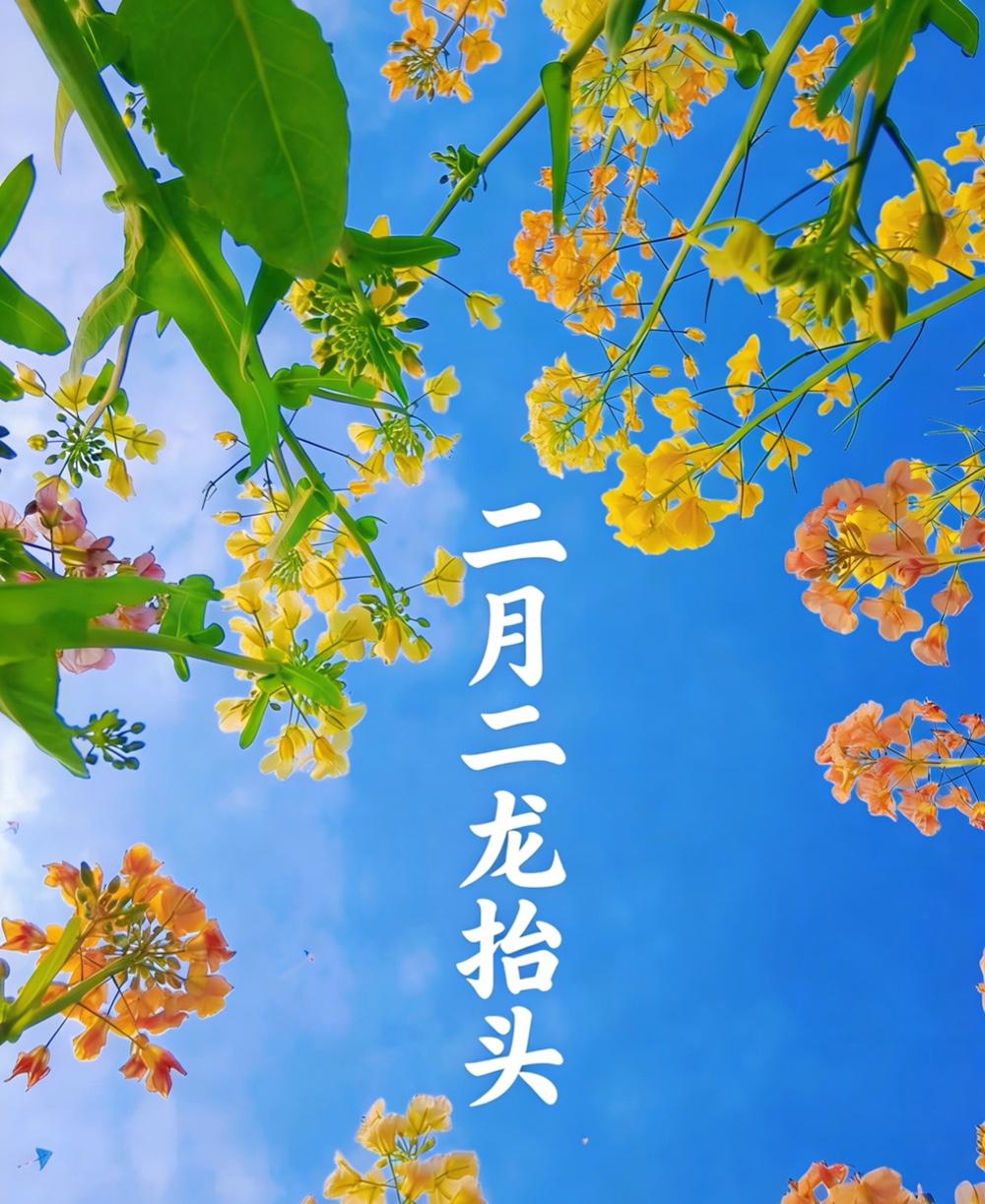 明天二月二遇春分，3讲3忌要记牢
2026年二月二龙抬头巧遇春分，双吉相逢，3大
