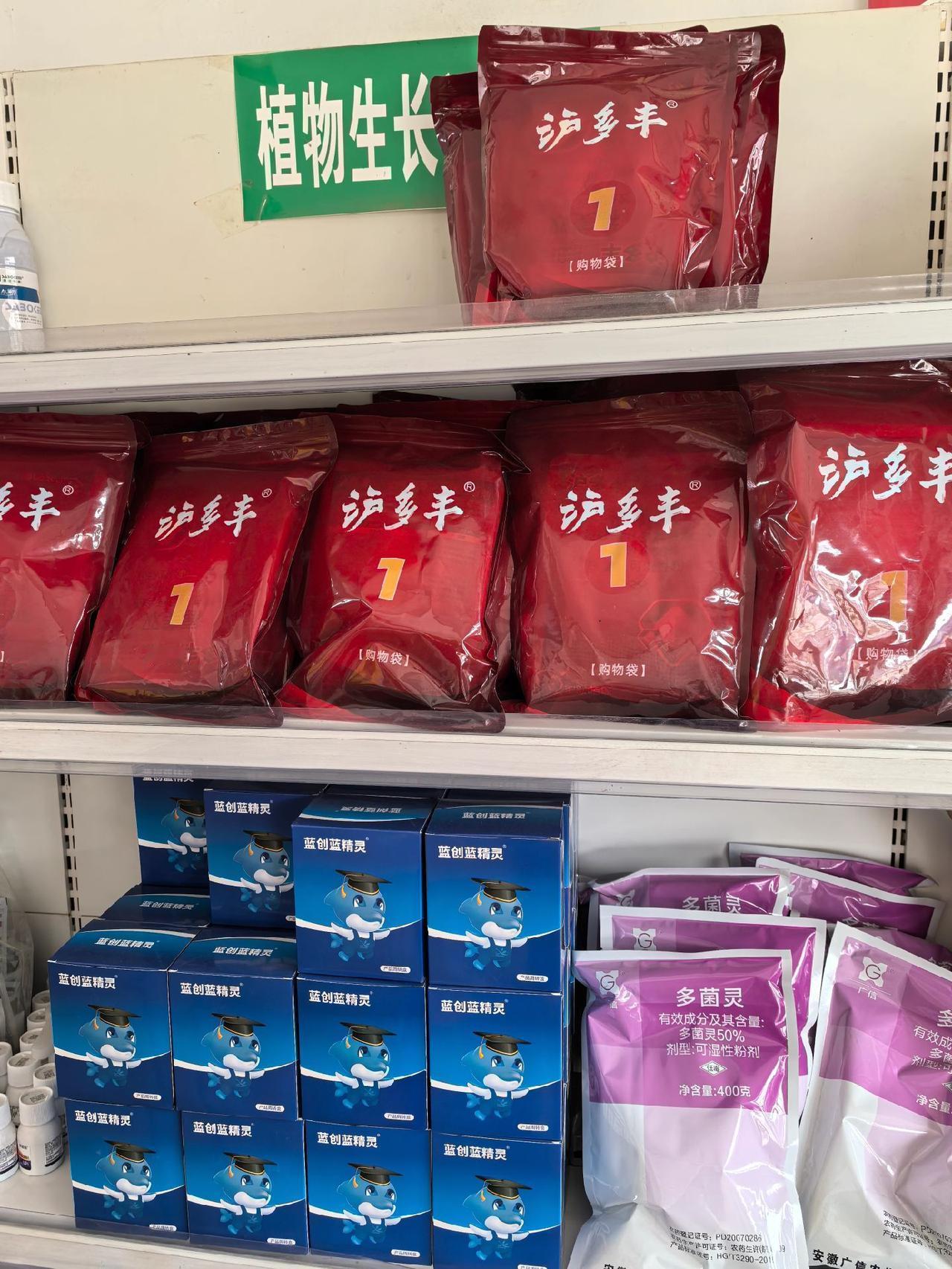 大蒜防冻套餐，大蒜五叶以后可以喷施