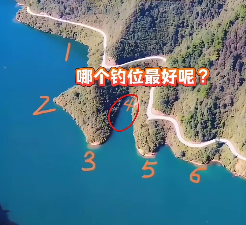 来几个钓鱼大神，想问问，这几个钓位你们觉得哪个最好？[what]
